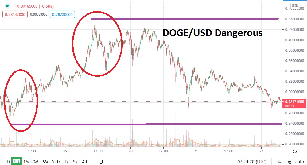 DOGE/USD DOGE/USD